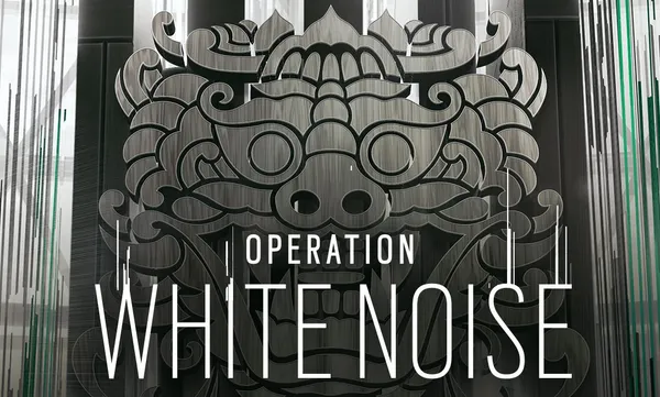 Operację White Noise - polska jednostka GROM