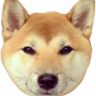 inu