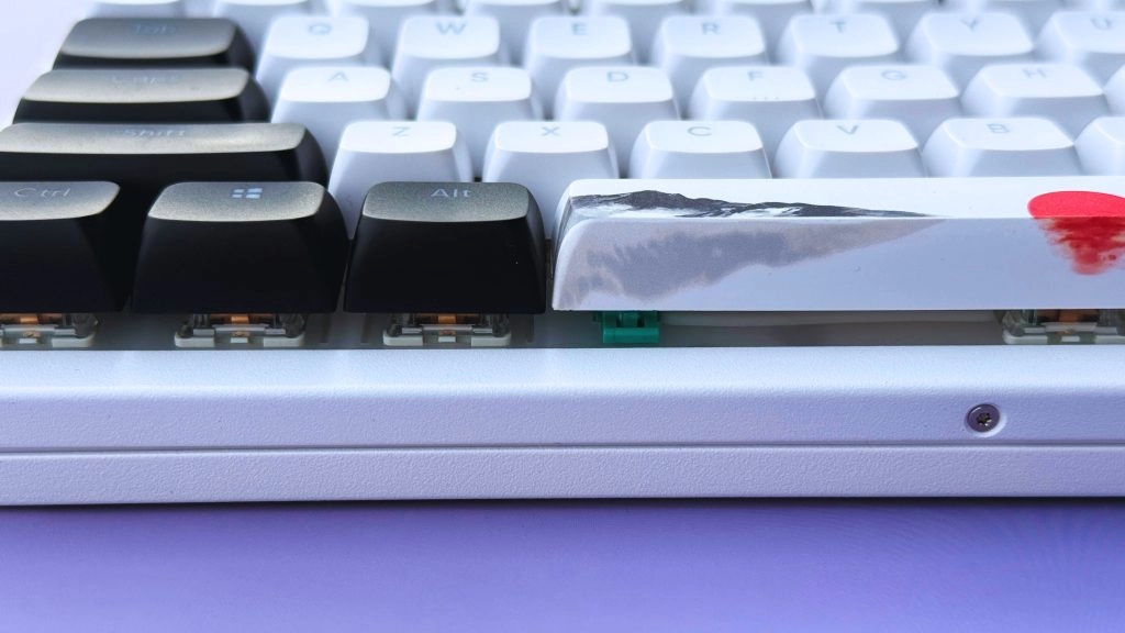 6faa255d b050 4aa2 b17d 4393d3f