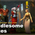 Meddlesome Mages - WoW Forever: Skyborne