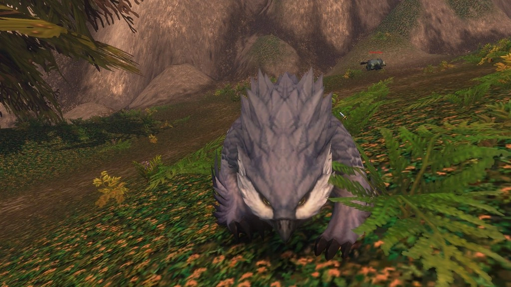 Szara ursera zbliża się do kamery na leśnym zboczu. Widać jej dziobowaty pysk, jasne pióra wokół oczu i duże łapy z pazurami. Źródło: World of Warcraft: Forever, zrzut ekranu gracza.