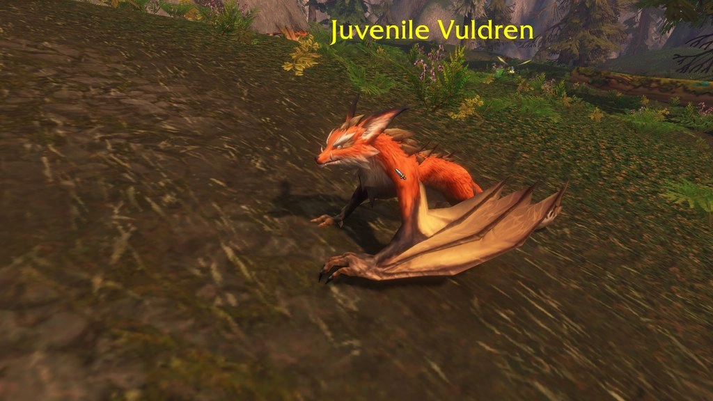 Mały pomarańczowy vuldren o lisich cechach i szerokich skrzydłach kuca na trawiastej ścieżce. Nad nim widać nazwę „Juvenile Vuldren”. Źródło: World of Warcraft: Forever, zrzut ekranu gracza.